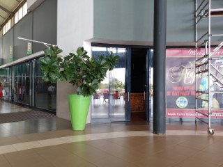 Golden Peacock Site